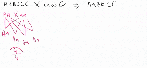 what-is-the-probability-that-the-following-parents-will-produce-the-indicated-offspring-aabbcc-x-aabbcc-aabbcc-00197