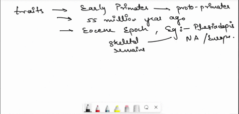 separate-smeat-dupuf-ansior-tne-following-questions-this-question-may-be-completed-independently-broup-exercise-as-wo-ciscussed-initially-interpreted-a8-being-the-first-primates-they-were-th-91734