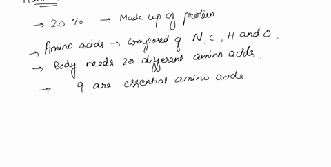 241-compare-the-essential-amino-acids-in-humans-t0-domestic-animals-25-1-why-are-vegetarians-at-a-greater-risk-of-their-diet-being-deficient-in-the-essential-amino-acids-261-define-peptide-b-24082