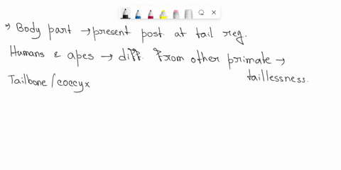 the-images-above-all-illustrate-the-presence-of-a-vestigial-structure-what-is-this-structure-and-why-is-it-no-longer-used-for-its-original-function-a-sacral-vertebrae-have-disappeared-in-mod-29753