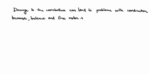 what-might-happen-to-a-person-if-the-cerebellum-is-damaged-65069