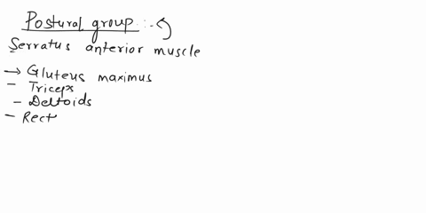 which-of-the-following-muscles-belongs-to-the-postural-group-a-lower-trapezius-b-serratus-anterior-c-pectoralis-major-d-rhomboids-63547