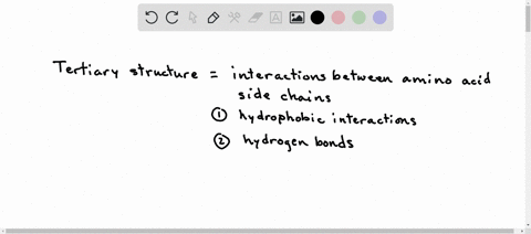 which-of-the-following-are-not-responsible-for-the-stability-of-the-tertiary-structures-of-the-proteins-a-none-of-these-b-disulfide-covalent-bonds-c-hydrophobic-and-hydrophilic-interactions-31143