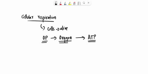 what-typels-of-organisms-does-cellular-respiration-occur-in-a-autotrophs-b-heterotrophs-decomposers-producers-e-all-answers-given-are-correct-27897