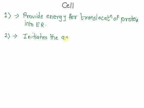question-6-bip-acts-in-the-cell-to-do-what-provide-energy-for-translocation-of-proteins-into-the-er-form-copii-transport-vesicles-translate-proteins-detect-unfolded-protein-2-points-question-43743