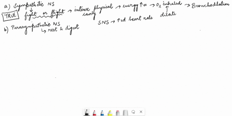 question-10-025-pts-which-of-the-following-statements-about-the-sympathetic-division-of-the-autonomic-nervous-system-is-false-o-the-sympathetic-division-causes-bronchodilation-o-the-sympathe-02288