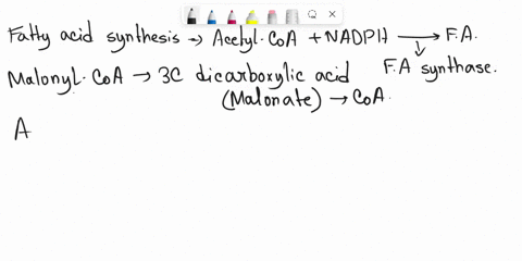 fatty-acid-biosynthesis-depends-on-the-presence-of-coz-or-hco-to-generate-malonyl-coa-from-acetyl-coa_-consider-an-experiment-in-which-culture-of-cells-is-grown-in-the-presence-of-c-labeled-02176