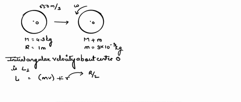 bullet-o-mass-m-30g-moving-hotizetlly-wich-speed-0650nus-the-hullet-stikes-and-becees-eihedded-in-the-disk-m-eadius-r-0t-solid-disk-ot-muss-m-jkp-und-relius-r-the-cyliner-mee-rolale-utound-i-13139