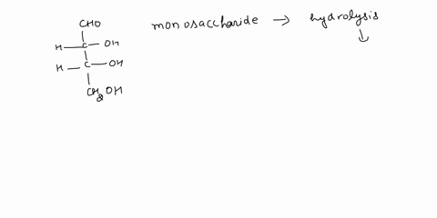 a-fischer-projection-of-a-monosaccharide-is-shown-below-cho-oh-oh-chzoh-classify-this-monosaccharide-e-g-aldotriose-docs-havc-the-d-or-configuration-which-carbon-and-oxygen-become-bonded-in-62395