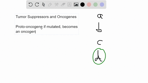 which-of-the-following-accurately-compares-tumor-suppressor-genes-and-proto-oncogenes-choose-answer-aperson-who-has-both-tumor-suppressor-and-proto-oncogenes-will-always-develop-cancer-when-15935