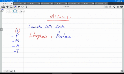 the-phase-of-mitosis-during-which-the-chromosomes-move-toward-separate-poles-of-the-cell-is-37974
