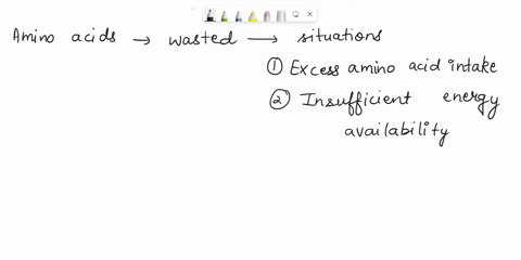 amino-acids-are-wasted-not-used-to-build-protein-whenever-there-is-50151