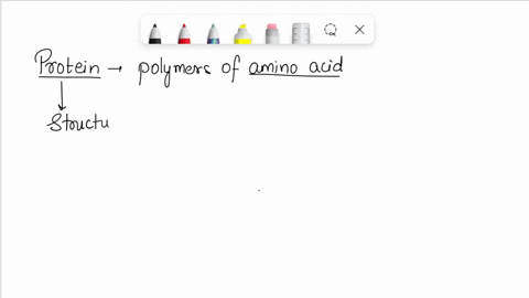 the-function-of-most-proteins-depends-primarily-on-the-what-44258