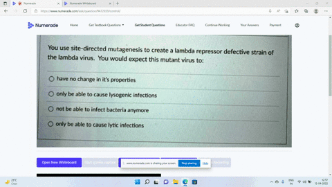 question-6-pts-you-use-site-directed-mutagenesis-to-create-a-lambda-repressor-defective-strain-of-the-lambda-virus-you-would-expect-this-mutant-virus-to-have-no-change-in-it-properties-only-62573