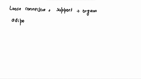 question-24-not-yet-answered-marked-out-of-100-flag-question-the-tissue-that-store-fat-for-insulation-and-fuel-is-select-one-a-loose-connective-tissue-b-adipose-tissue-c-adipose-and-loose-co-77115