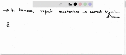 biochem-in-humans-what-repair-mechanism-is-used-to-correct-thymine-dimers-a-base-excision-repair-b-nucleotide-excision-repair-c-mismatch-repair-d-photolyase-e-both-nucleotide-excision-repair-08842