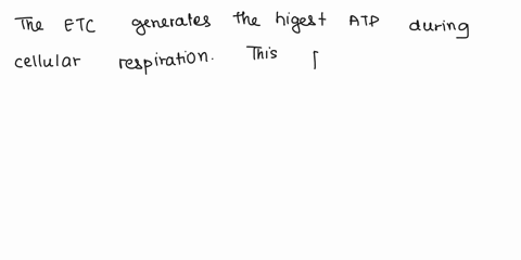 answer-all-questions-thank-you1-which-part-of-cellular-respiration-produces-the-most-atpa-lactic-acid-fermentationb-glycolysis-c-krebs-cycle-d-etc-2-the-process-of-actively-secreting-or-excr-65793