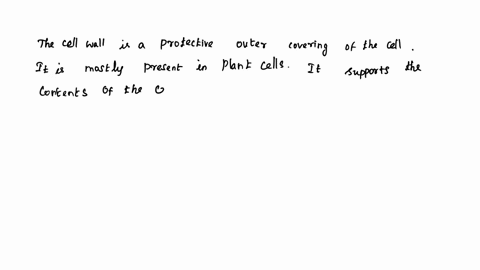 what-is-the-cell-wall-in-plant-cell-made-of-and-what-is-its-function-36947