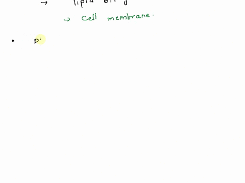 in-the-humane-bodyoxygen-is-abosrbed-by-the-small-in-water-d-lal-2-in-most-simple-multicellular-plants-and-in-hydra-transport-throughout-the-organisn-is-a-result-of-diffusion-through-a-trach-40693