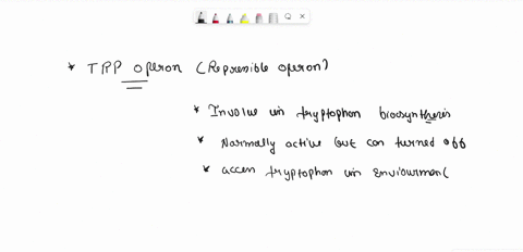 why-is-the-trp-operon-considered-a-repressible-operon-while-the-lac-operon-is-considered-an-inducible-operon-12886
