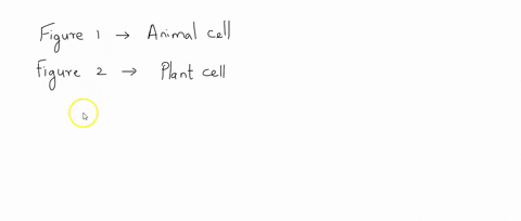 using-the-diagram-to-ie-right-which-structure-in-figure-corresponds-is-tne-same-struciure-in-figure-how-do-you-knowl-figure-figure-2-47356