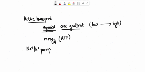 the-sodium-potassium-pump-is-an-example-of-a-symporter-that-uses-active-transport-to-move-na-ions-and-k-ions-across-the-cell-membrane-against-their-concentration-gradients-true-or-false-44044