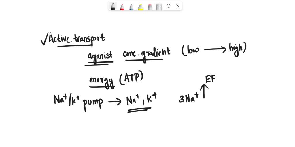 SOLVED The sodiumpotassium pump is an example of a symporter that