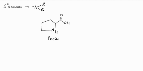 which-amino-acid-is-a-secondary-amine-with-its-nitrogen-and-the-alpha-carbon-joined-as-part-of-a-ring-structure-proline-lysine-glycine-arginine-histidine-09373
