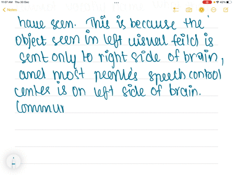 after-a-split-brain-person-sees-something-in-the-left-visual-field-how-can-he-or-she-describe-or-ide-28346