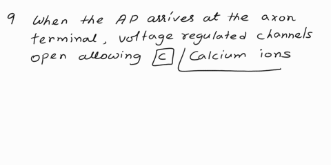 using-the-key-a-acetylcholine-b-acetylcholinesterase-c-calcium-ions-d-potassium-ions-e-sodium-ions-select-from-the-list-above-the-correct-chemical-for-each-of-the-blanks-below-9-when-the-act-66974