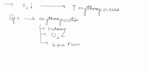 scenario-many-athletes-rain-in-high-altitudes-increase-theit-explanation-use-the-terms-epo-and-endurance-explain-why-this-increases-endurance-erythropoiesis-in-your-would-this-type-of-trunin-12136
