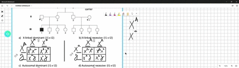 iil-given-the-following-pedigree-below-use-punnett-squares-for-each-of-the-following-possibilities-alx-linked-dominant-b-x-linked-recessive-autosoma-dominant-and-autosomal-recessive-in-order-58037