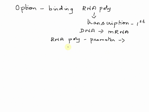 which-molecules-directly-facilitate-the-binding-of-rna-polymerase-to-the-start-position-of-the-gene-select-one-a-general-transcription-factors-b-exons-c-activators-d-repressors-54213