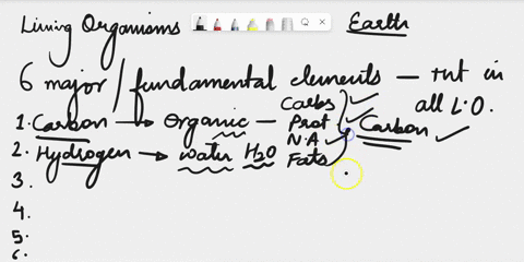 six-fundamental-elements-found-in-living-organisms-47832