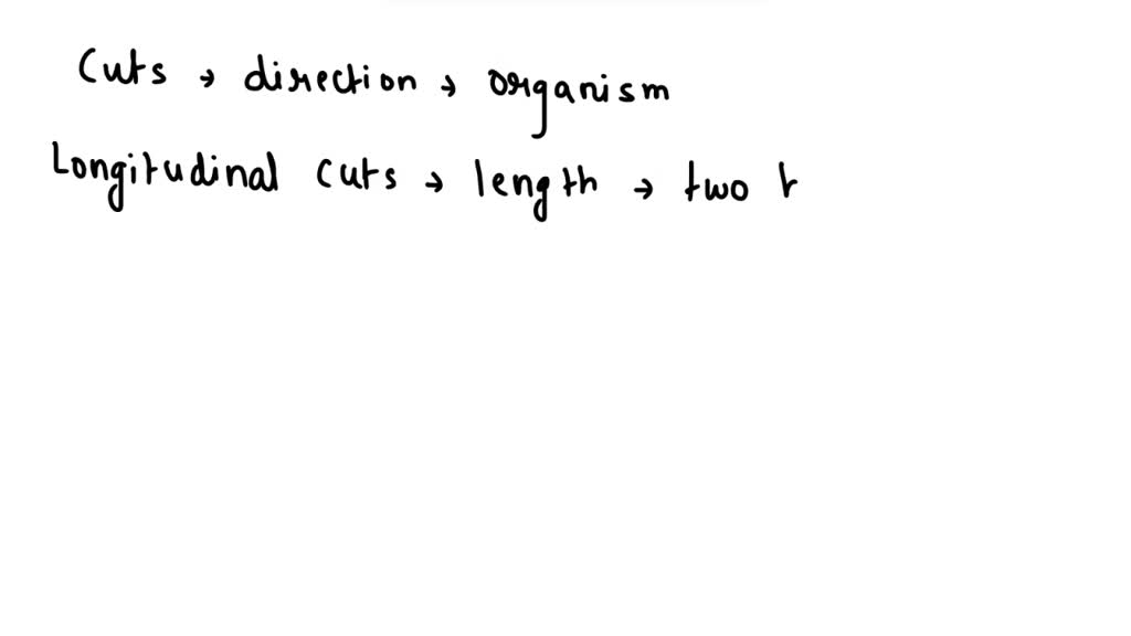 SOLVED: What is the difference between a longitudinal section and a ...