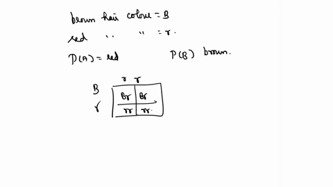 a-couple-both-have-brown-hair-but-are-heterozygous-for-an-autosomal-recessive-allele-for-red-hair-they-have-two-children-what-is-the-probability-that-both-children-will-have-the-same-hair-co-98248