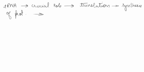 18-what-role-does-transfer-rna-trna-serve-in-the-translation-process-how-is-the-triplet-code-read-to-identify-the-amino-acids-for-synthesizing-polypeptide-chains-and-proteins-49403