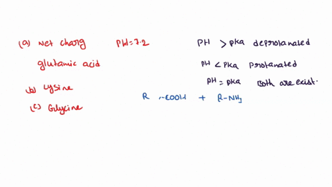 what-is-the-net-charge-of-glutamic-acid-at-ph-72-b-what-is-the-net-charge-of-lysine-at-ph-72-what-is-the-net-charge-of-glycine-at-ph-72-amino-acid-mw-pk-values-r-nhz-967-895-96-r-cooh-219-21-65418