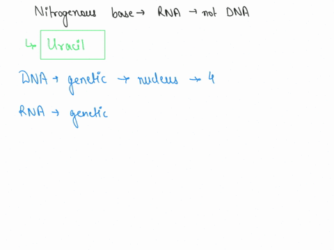 which-nitrogenous-base-is-found-in-rna-but-not-dna-42948
