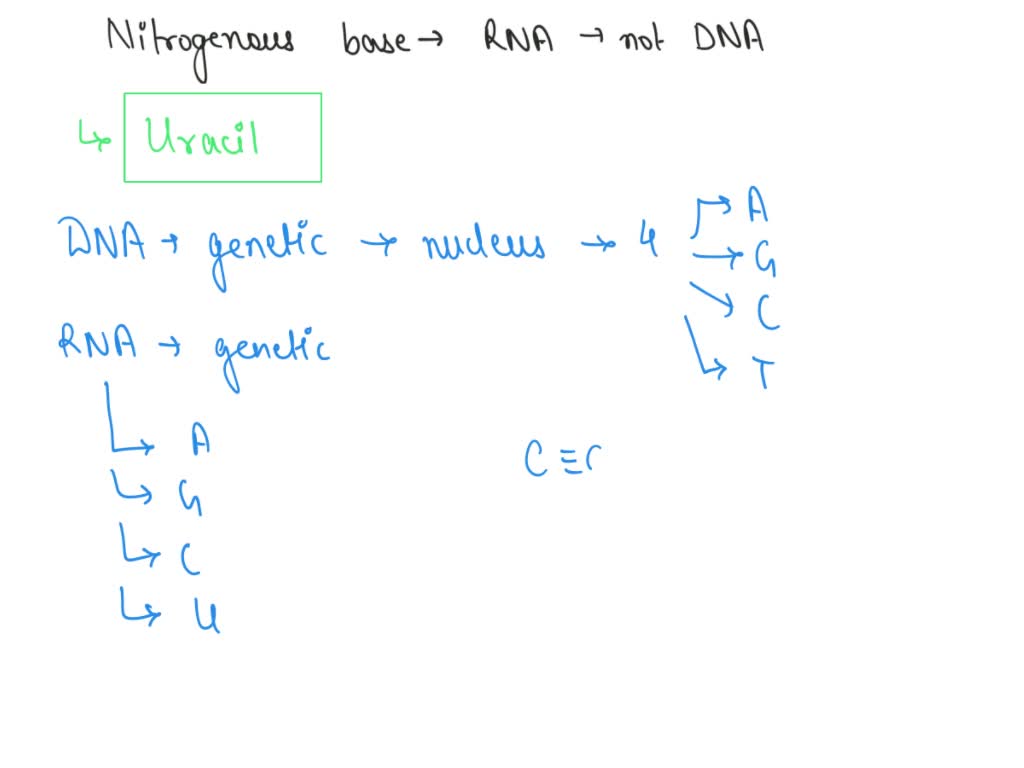 SOLVED: which nitrogenous base is found in RNA but not DNA