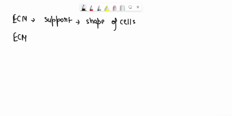 list-3-similarities-between-the-extracellular-matrix-and-the-cytoskeleton-98123
