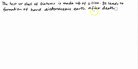 what-substance-is-the-test-or-shell-of-a-diatom-why-would-calcium-carbonate-like-clam-shells-be-a-poor-choice-for-the-covering-of-a-photosynthetic-organism-69341