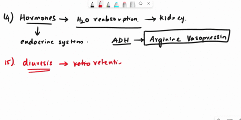 14-what-hormone-is-primarily-responsible-for-water-reabsorption-at-the-level-of-the-kidney-a-o-renin-b-oangiotensin-aldosterone-d-0-arginine-vasopressin-15a-diuretic-effect-has-been-observed-09972