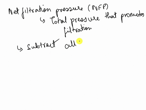 given-the-following-information-calculate-the-net-filtration-pressure-fluid-pressure-in-bowmans-capsule-space-16-mmhg-glomerular-capillary-pressure-60-mmhg-osmotic-pressure-of-blood-29-mmhg-10879