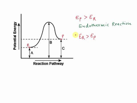 The diagram shows the potential energy changes for a reaction pathway ...