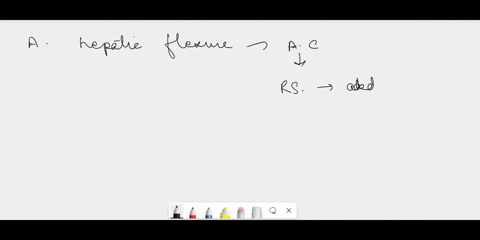 21-at-the-hepatic-flexurethe-colon-becomes-17pts-the-ascending-colon-sigmoid-colon-tecum-transverse-colon-descending-colon-65439