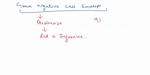 16-which-of-the-following-are-generally-true-about-gram-negative-cell-envelope-lipopolysaccharide-is-covalently-attached-to-the-n-acetylmuramic-acid-there-is-periplasmic-space-peptidoglycan-54257
