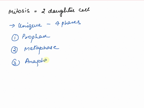 what-are-the-4-stages-of-mitosis-1-interphase-mitosis-cytokinesis-and-s-phase-2-interphase-metaphase-anaphase-and-cytokinesis-3-anaphase-metaphase-prophase-telophase-4-g1-s-g2-and-cytokinesi-94333