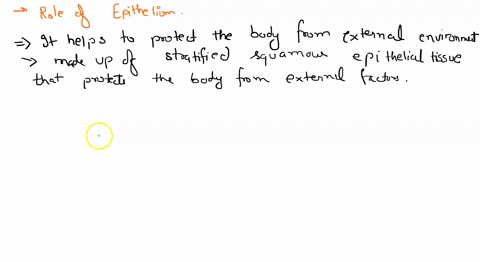 what-is-the-role-of-the-epithelium-group-of-answer-choices-contracts-to-create-body-movement-provides-the-padding-between-the-joints-helps-protect-the-body-from-the-external-environment-tran-46075