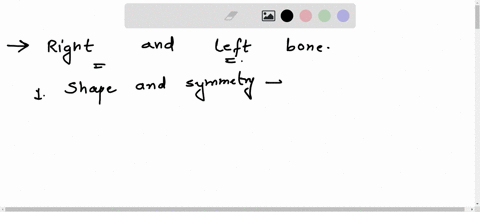 how-do-i-differentiate-between-right-and-left-bones-specifically-radius-ulna-tibia-fibula-66437